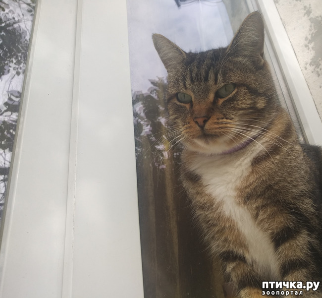 ���� 4: ��������!!! ����������!!!