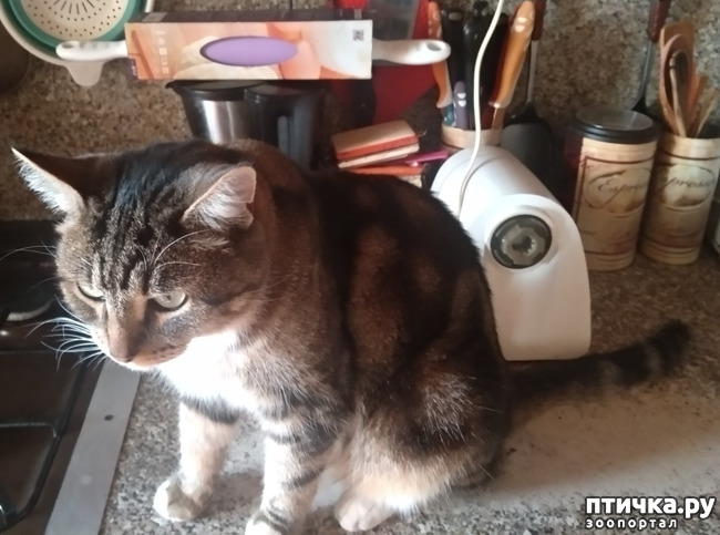 ���� 7: ��������!!! ����������!!!