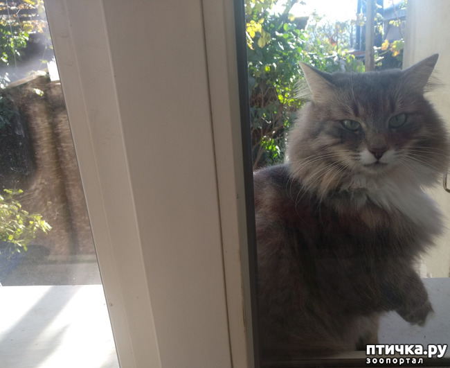 ���� 9: ��������!!! ����������!!!