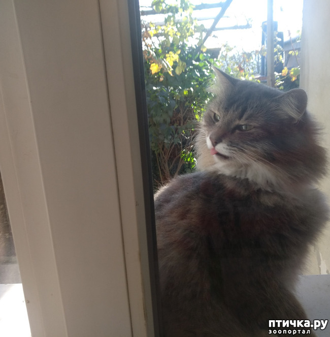 ���� 10: ��������!!! ����������!!!