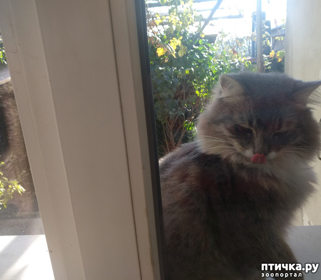 ���� 11: ��������!!! ����������!!!