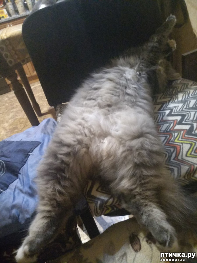 ���� 12: ��������!!! ����������!!!