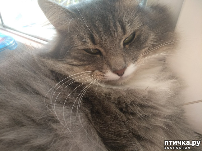 ���� 13: ��������!!! ����������!!!