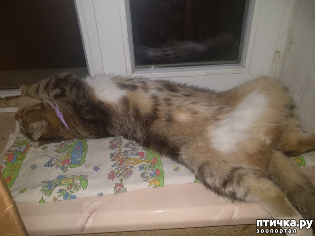 ���� 8: ��������!!! ����������!!!