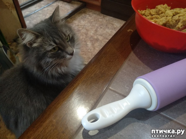 ���� 14: ��������!!! ����������!!!