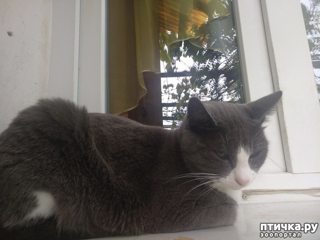 ���� 15: ��������!!! ����������!!!