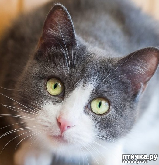 ���� 16: ��������!!! ����������!!!