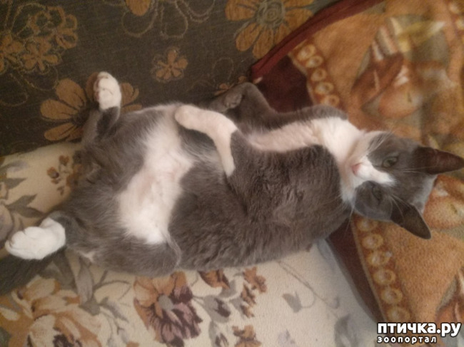 ���� 18: ��������!!! ����������!!!