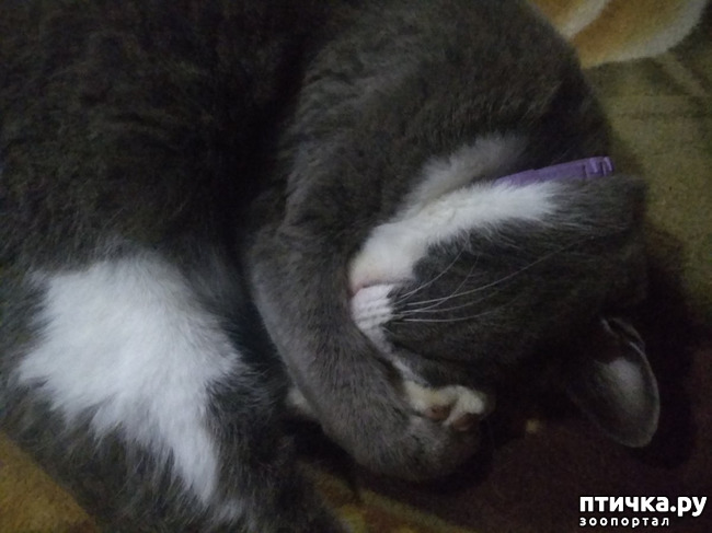 ���� 20: ��������!!! ����������!!!