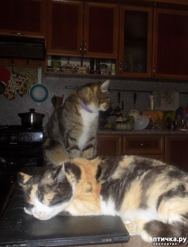 ���� 21: ��������!!! ����������!!!