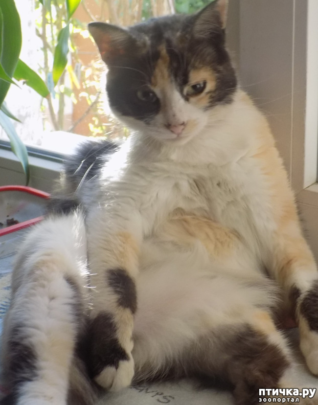 ���� 22: ��������!!! ����������!!!