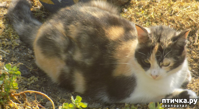 ���� 23: ��������!!! ����������!!!