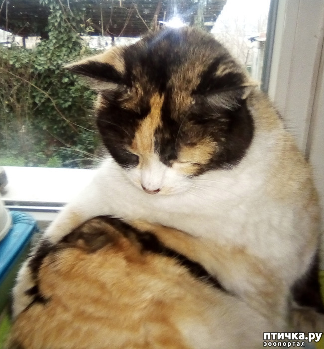 ���� 24: ��������!!! ����������!!!