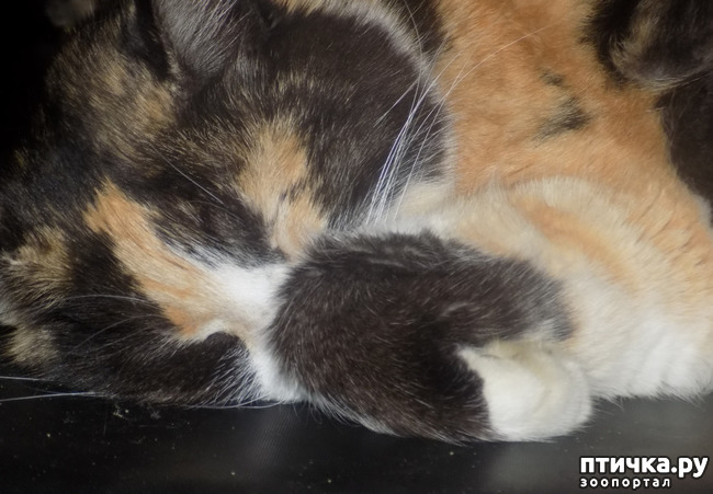 ���� 25: ��������!!! ����������!!!