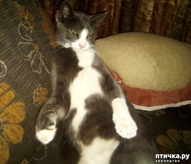 ���� 17: ��������!!! ����������!!!