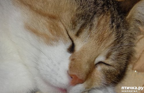 ���� 26: ��������!!! ����������!!!