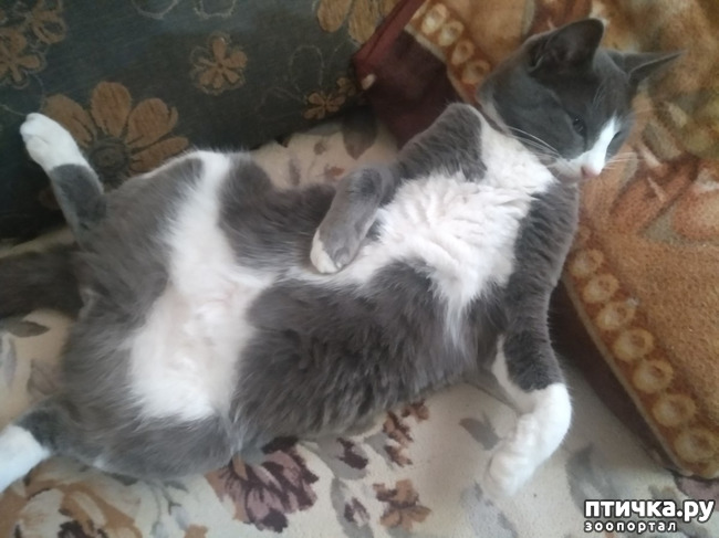 ���� 19: ��������!!! ����������!!!