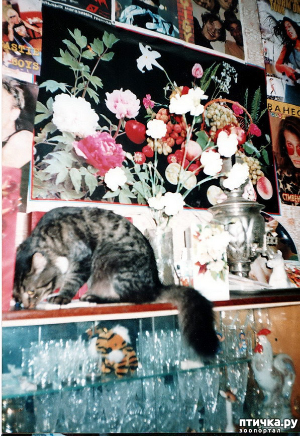 ���� 1: �� � ���� ��������