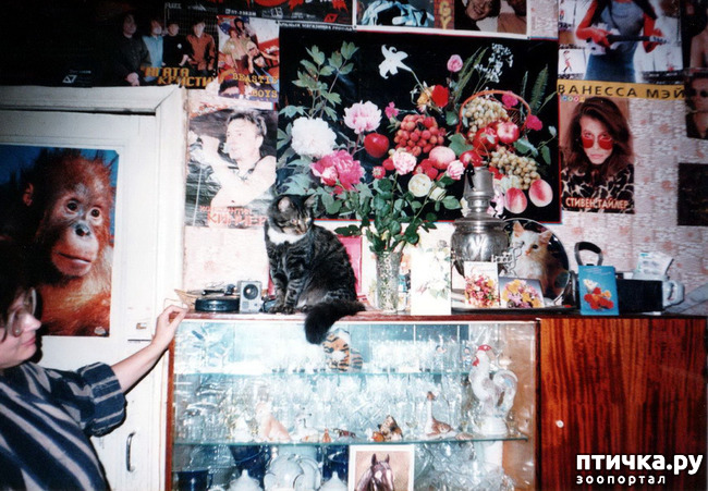 ���� 2: �� � ���� ��������