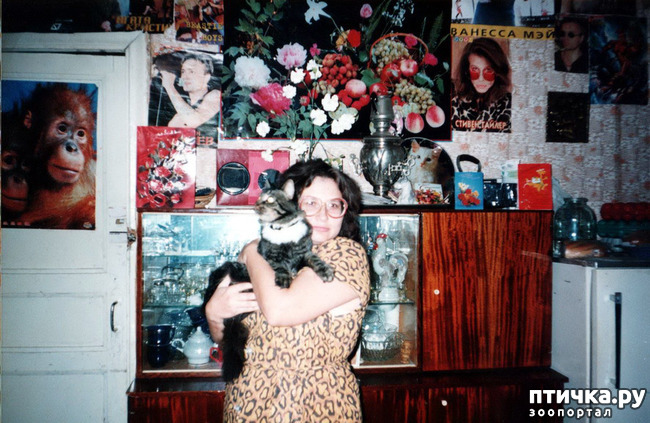 ���� 3: �� � ���� ��������