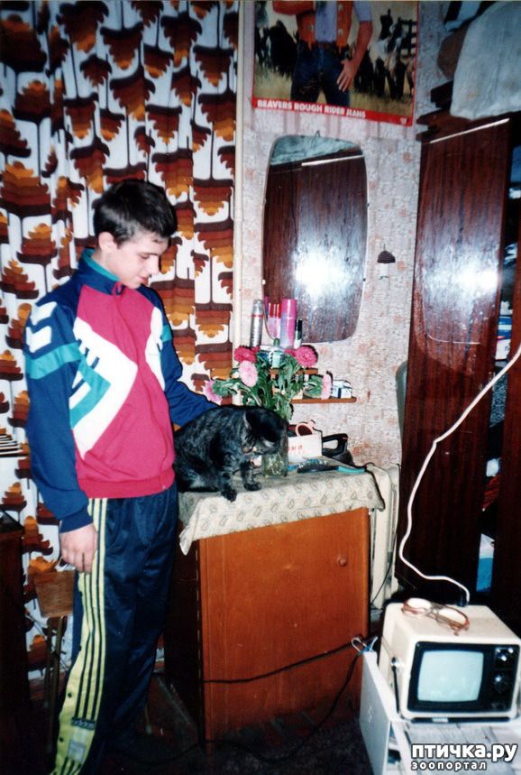 ���� 4: �� � ���� ��������