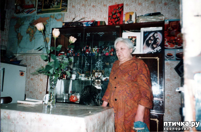 ���� 5: �� � ���� ��������