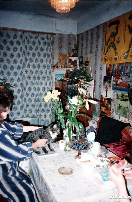 ���� 6: �� � ���� ��������