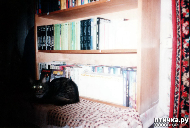 ���� 7: �� � ���� ��������