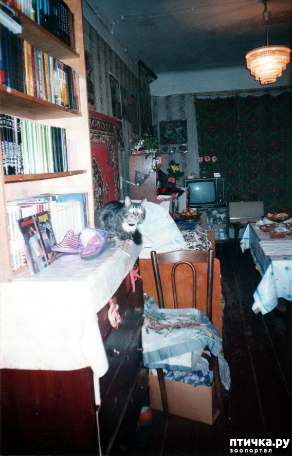 ���� 8: �� � ���� ��������