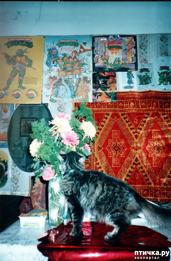 ���� 9: �� � ���� ��������