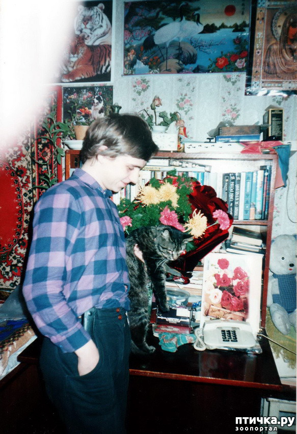 ���� 10: �� � ���� ��������