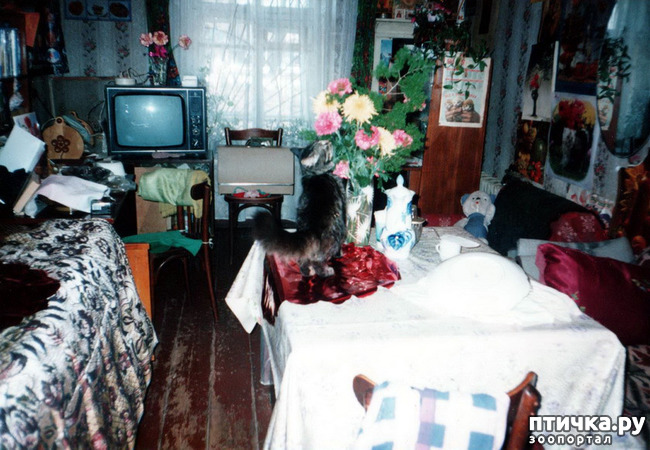 ���� 11: �� � ���� ��������