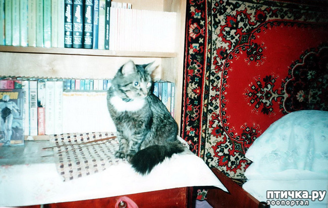 ���� 12: �� � ���� ��������