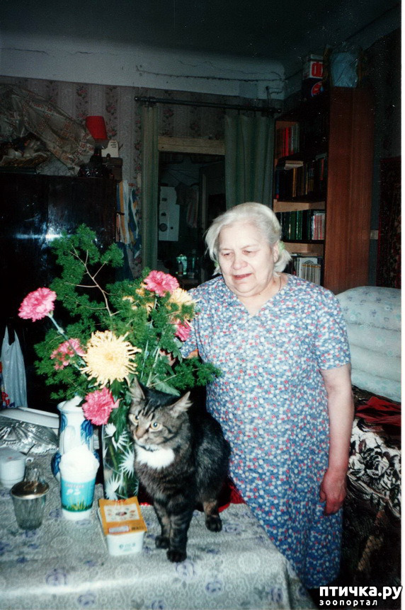 ���� 13: �� � ���� ��������