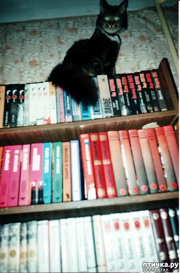 ���� 14: �� � ���� ��������