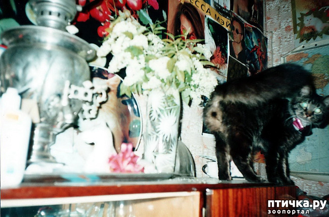 ���� 15: �� � ���� ��������