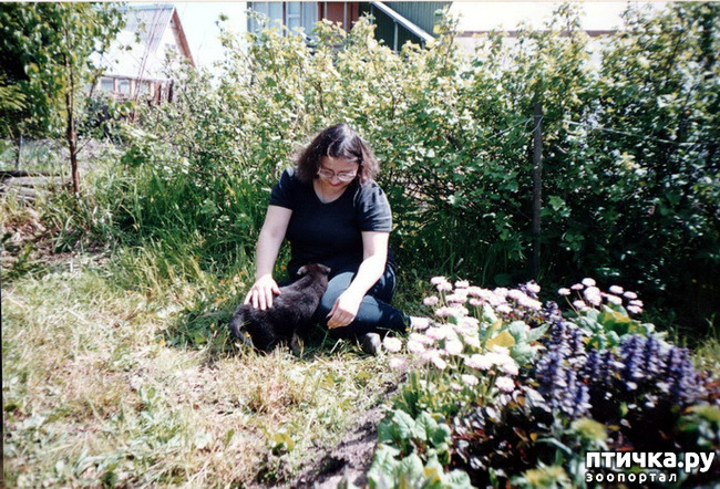 ���� 16: �� � ���� ��������