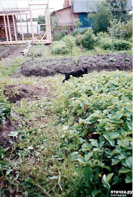 ���� 18: �� � ���� ��������