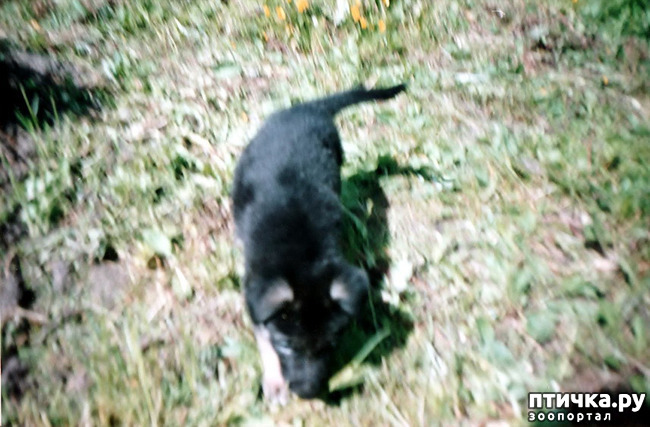 ���� 19: �� � ���� ��������