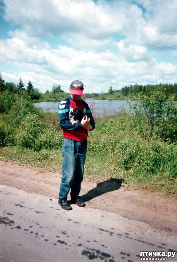 ���� 21: �� � ���� ��������