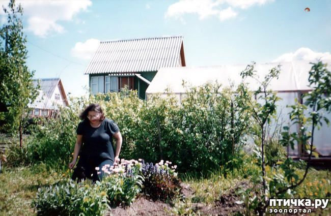 ���� 20: �� � ���� ��������