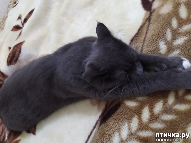 ���� 2: ���������