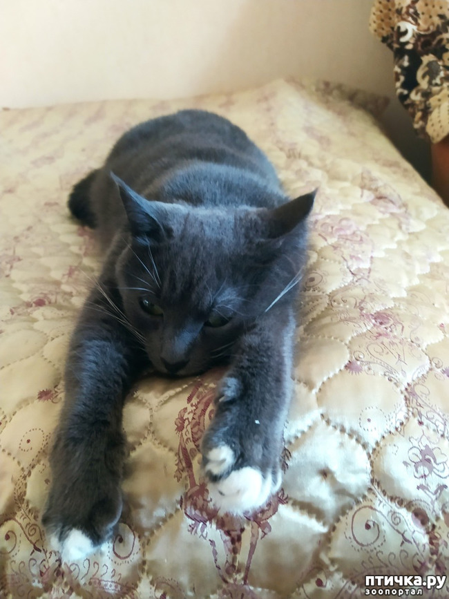 ���� 4: ���������