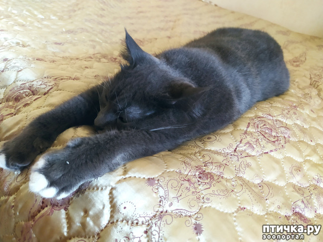 ���� 5: ���������