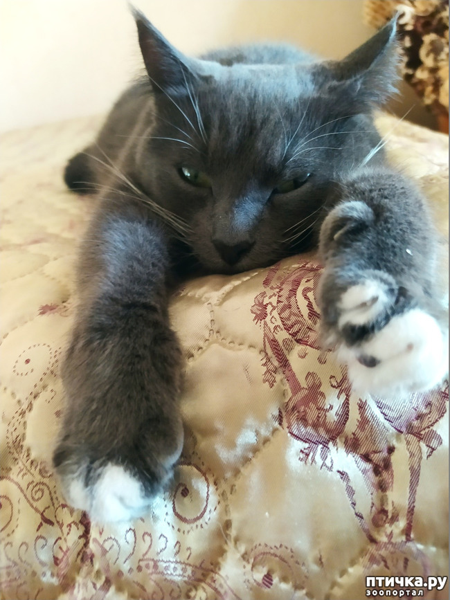 ���� 6: ���������