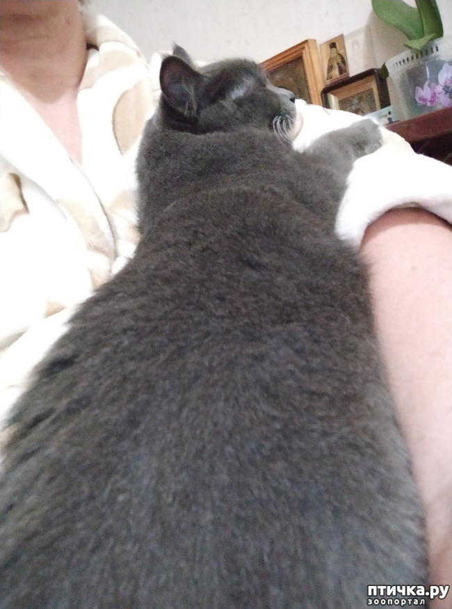 ���� 7: ���������