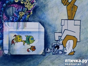 ����: ����. ������� ���!