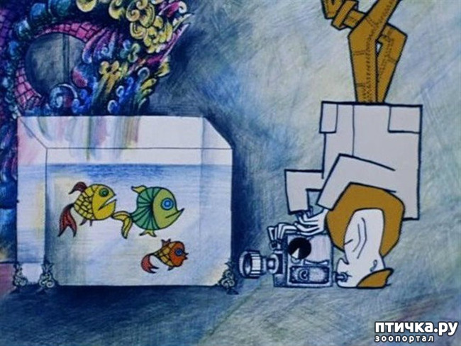 ���� 1: ����. ������� ���!