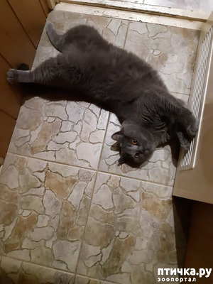 ����: ������ ������!