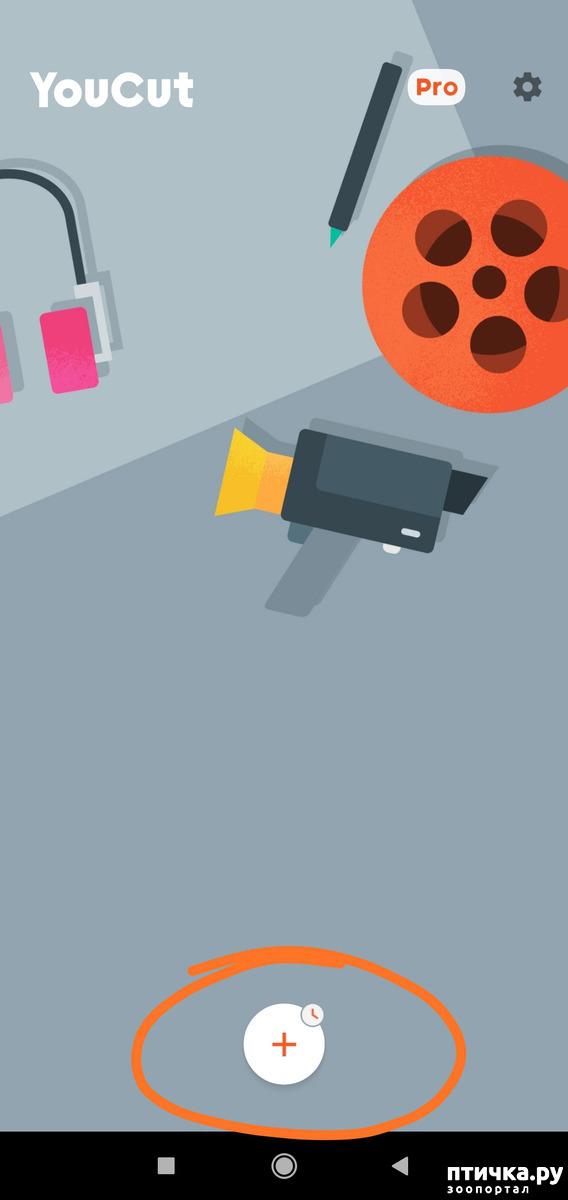 ���� 5: ��� ����